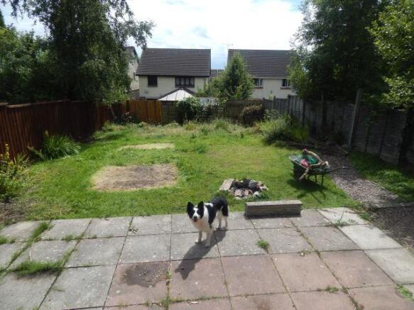 Back garden 