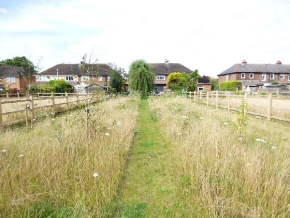 Garden 3