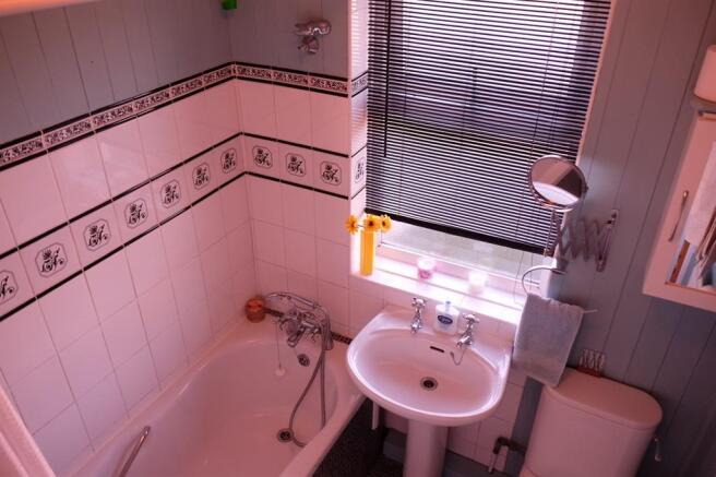 Photo 11