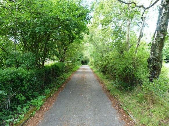 BIRCHWOOD LANE