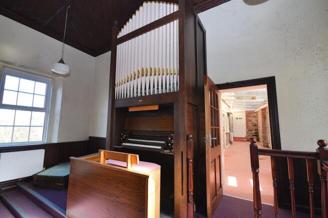 organ