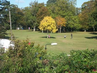 View over Park