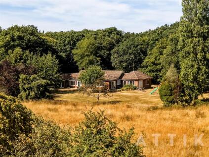 Mutford Wood, Mutford, Lowestoft