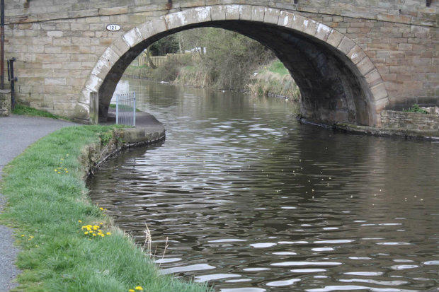 Photo 43
