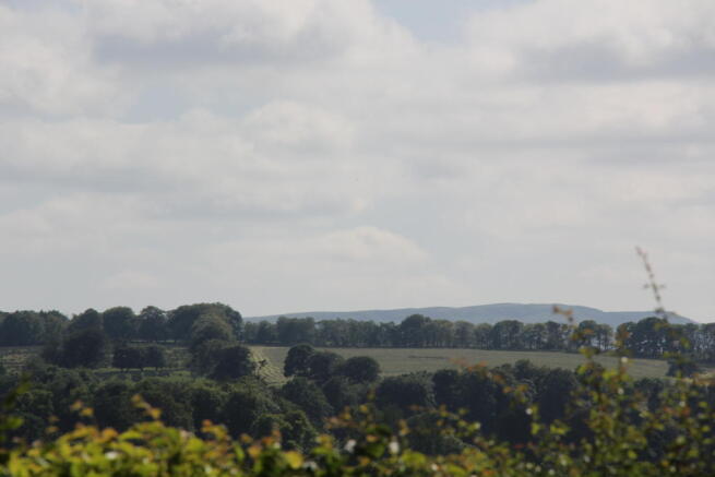 view from plot