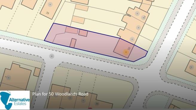 Plot size