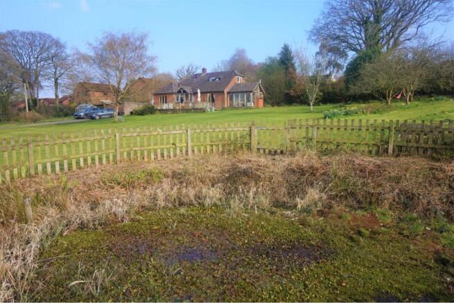 Pond