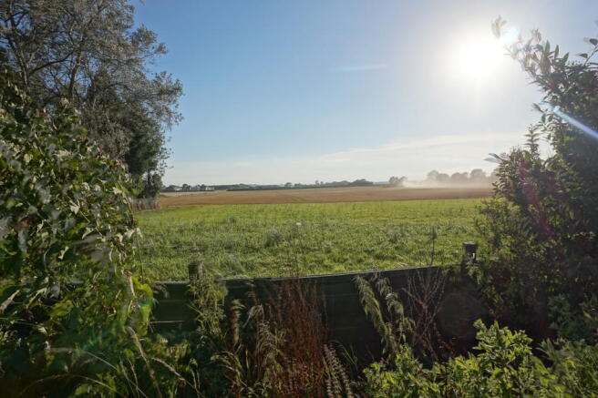 Over the back fence !