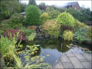Photo 23