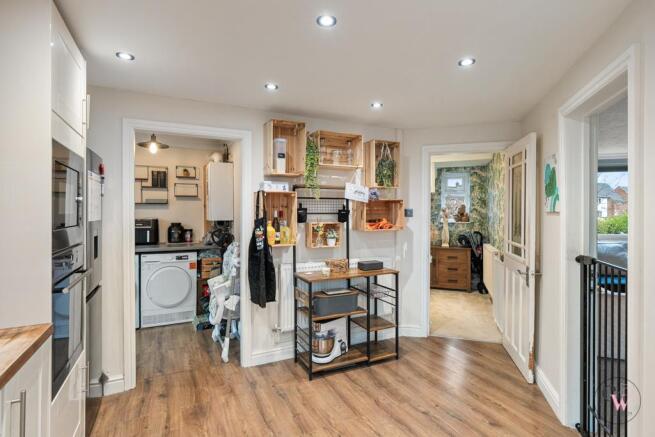 DSC06488.jpg