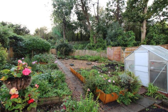 Garden.jpg