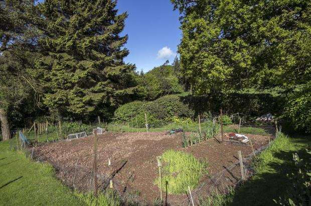 05 Garden