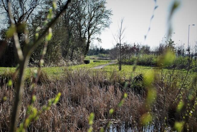 Leisure Walks