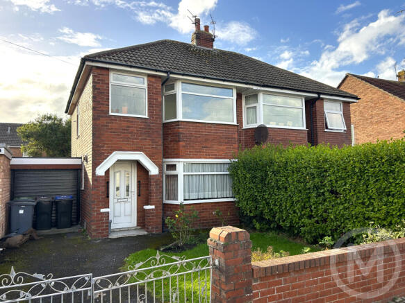 IMG_4174a.jpeg