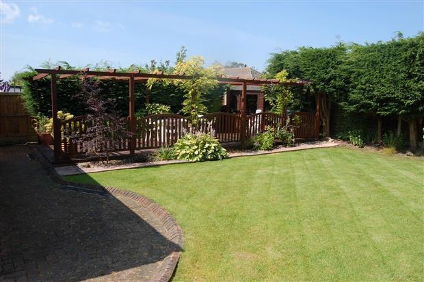 Garden 3