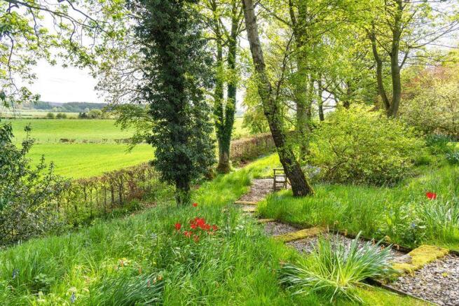 Garden, Bayber...