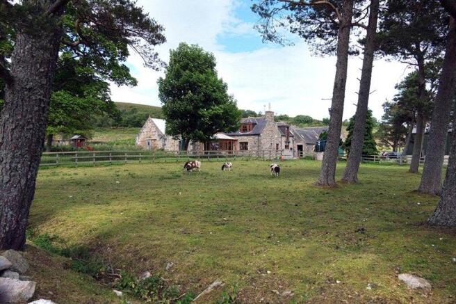 House and Paddock