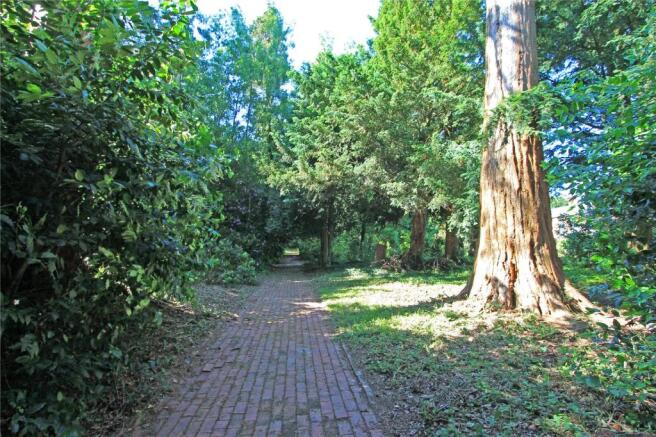 Woodland Path