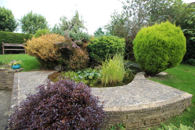 Pond