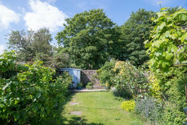Summer Garden