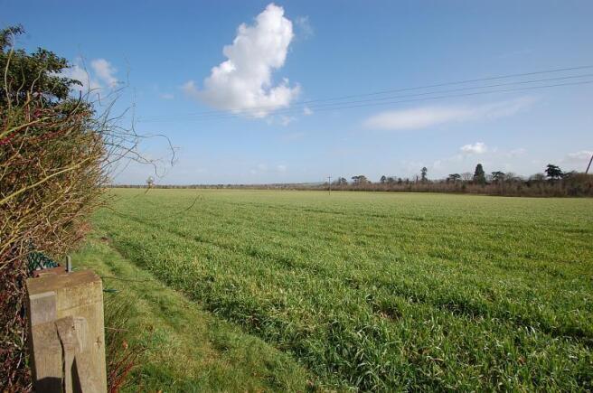 field