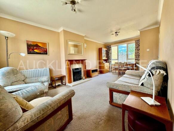 IMG_5591-17564548...