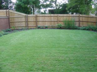 Rear garden