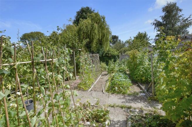 Vegetable Garden