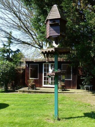 Photo 16