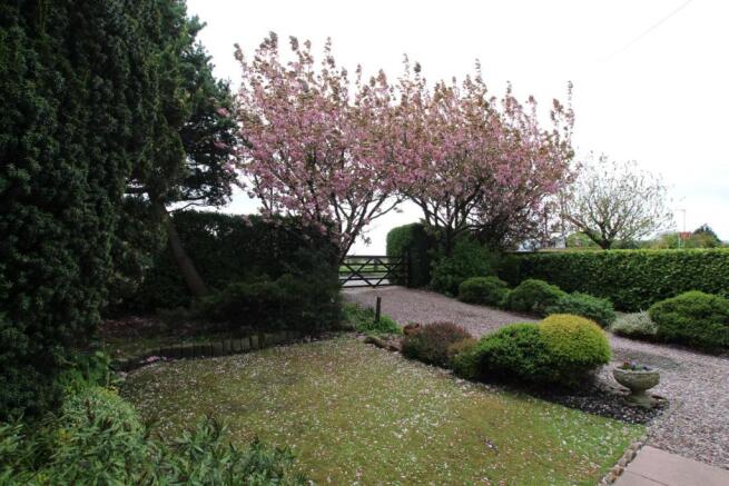 Outside, Front Garden