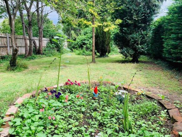 Garden.jpg