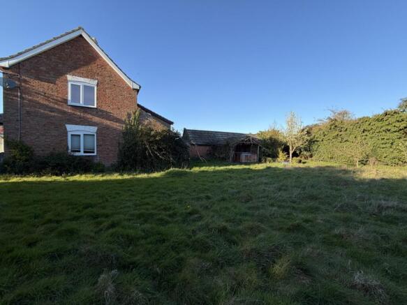 IMG 5239 T202604092012.jpg