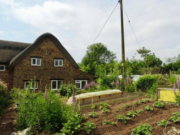 Rear Shot