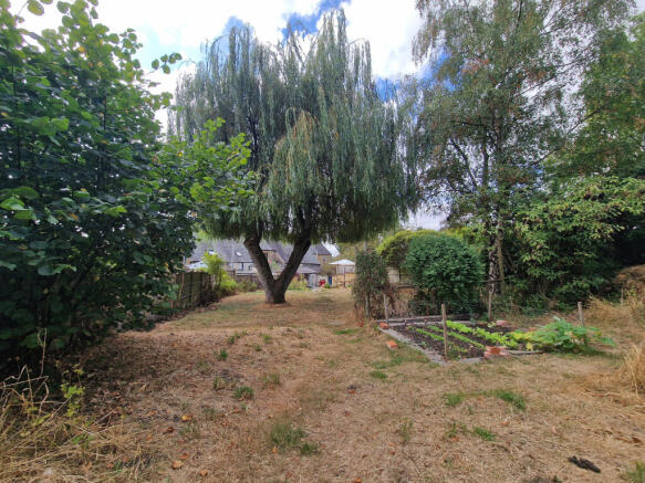 Rear Garden-middle section