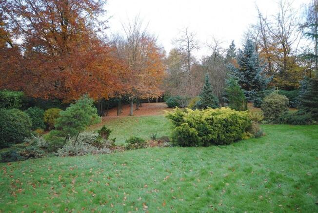 Photo 13