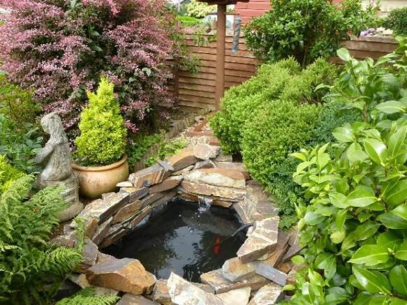 Pond