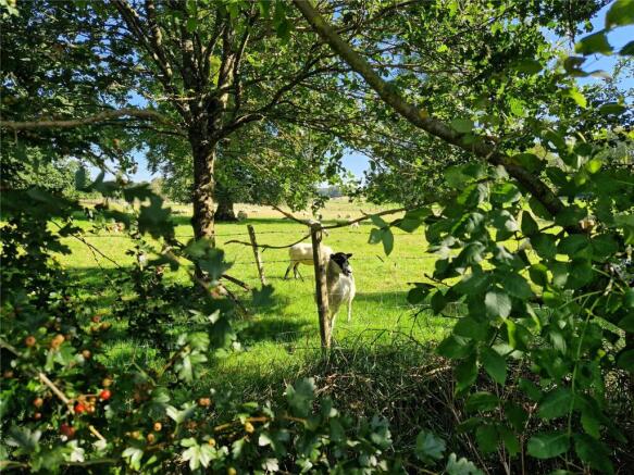 Country Walks
