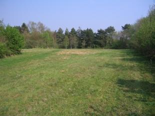 Protected Field