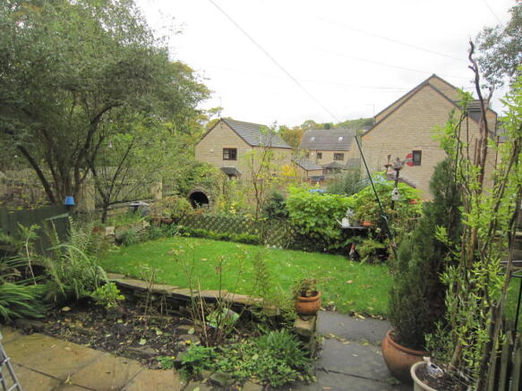 Photo 11