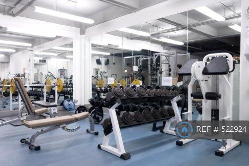 Gym Weights