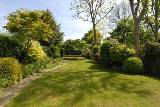 Rear garden.