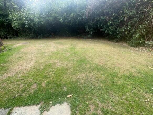 back garden
