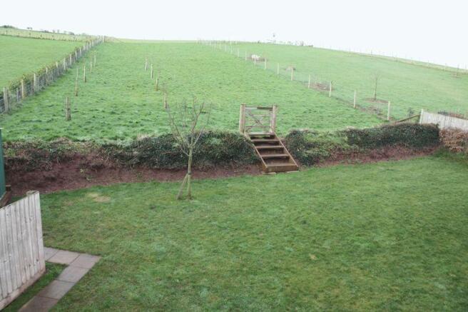 Garden / Orchard
