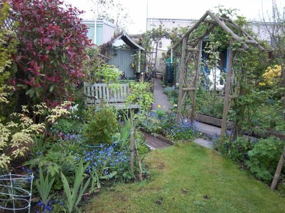 Garden Summer 2012