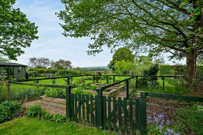 Vegetable Garden