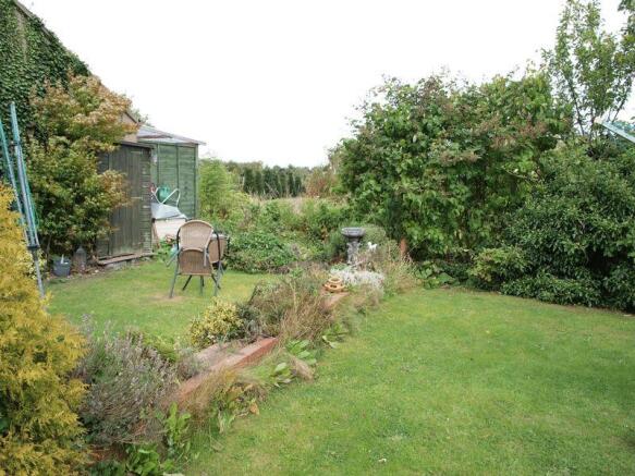 rear garden 2