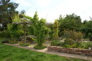 Terrace With Pergola