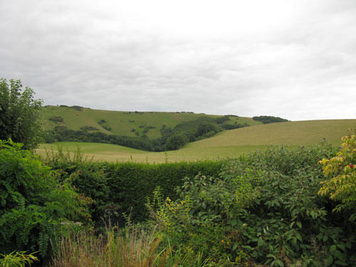Photo 6