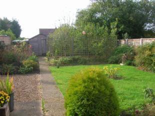 Garden 2