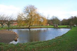 VILLAGE DUCK POND